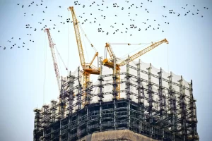 Do builders have limited liability?